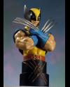 (image for) Wolverine Classic